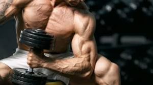 Big muscle man