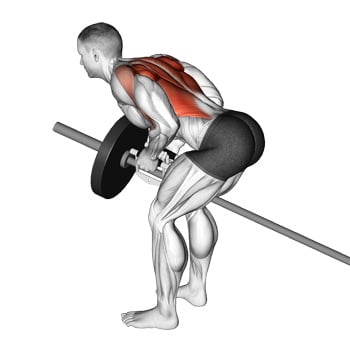 The 10 Best Cable Shoulder Workouts Of All Time – Deft Academy