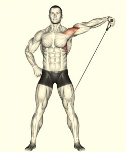 Low-Pulley Lateral Raise