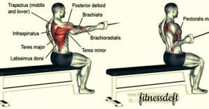 One-Arm Seated Low-Cable Side Raise