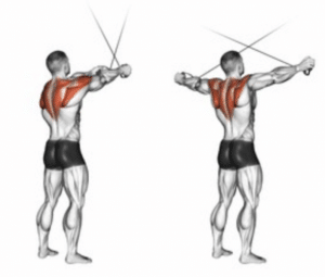 Standing Low-Pulley Deltoid Flye