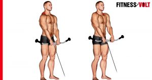 cable shoulder workouts