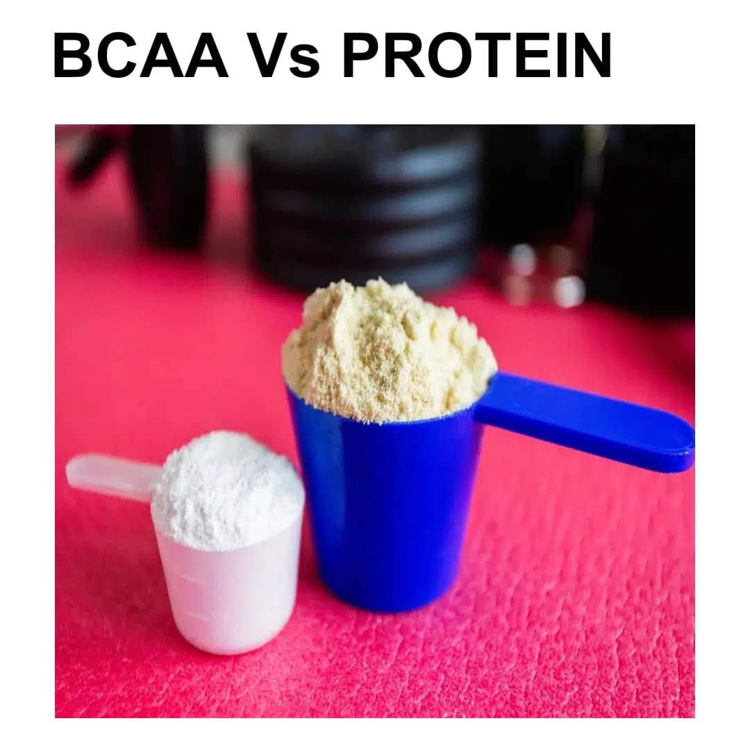 bcaa vs protein